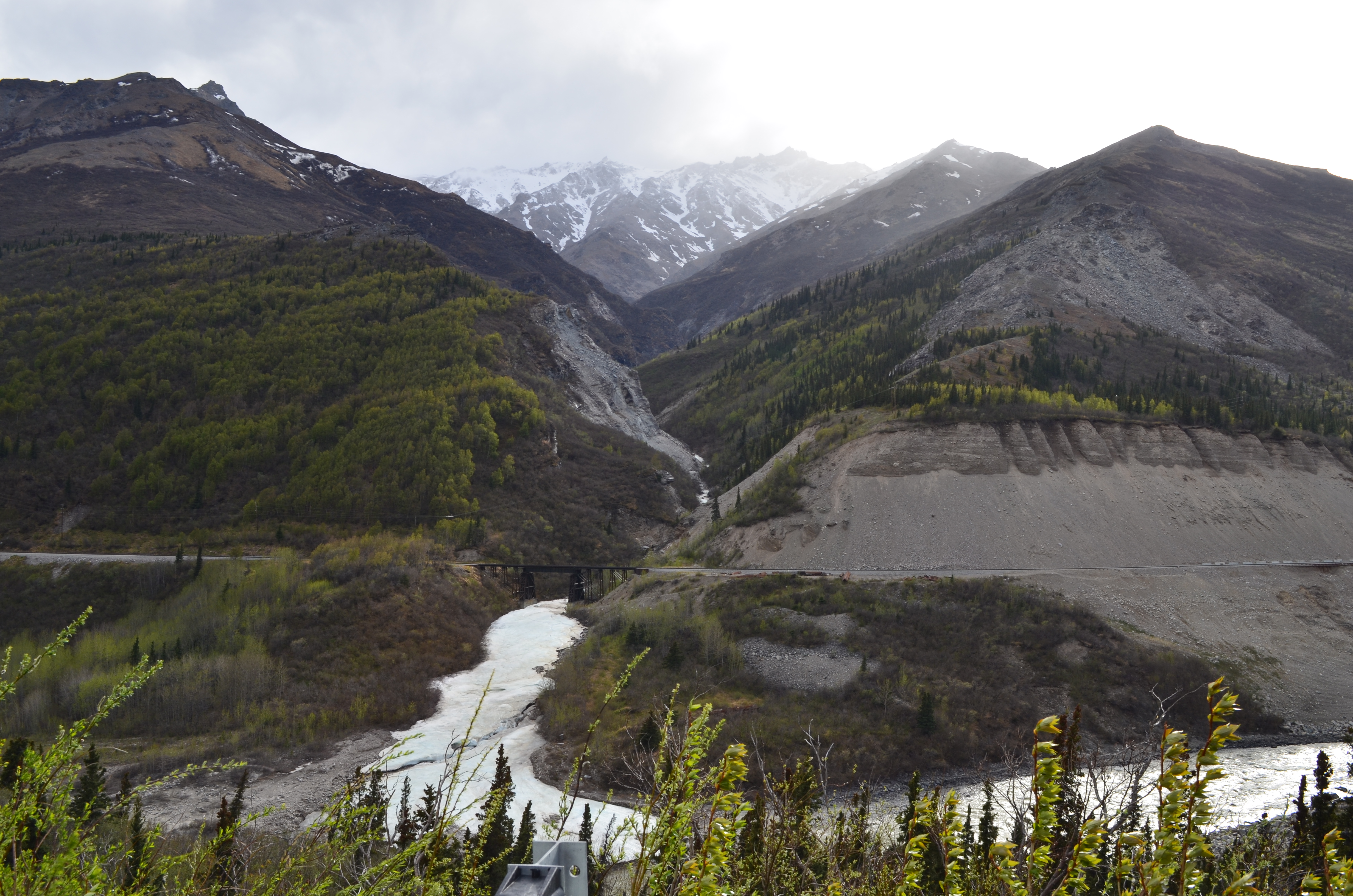 ./2017/08 - Alaska Cruise/03 - Denali/DSC_0142.JPG